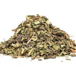 MIĘTA NANA (Mentha spicata)