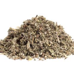 SZAŁWIA LEKARSKA (SALVIA OFFICINALIS) - ZIOŁO