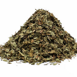 MNISZEK LEKARSKI LIŚĆ (TARAXACUM OFFICINALE) - zioło