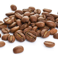 SALWADOR SHG RED BOURBON FINCA SANTA ADELAIDA -MICRO LOT