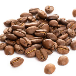 EL SALVADOR BIO SHG EP Finca Las Nube – Micro Lot