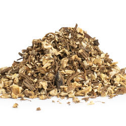 Korzeń arcydzięgla lekarskiego (Archangelica officinalis) - zioło