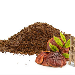 KAWA ADAPTOGENNA Z REISHI I ASHWAGANDHĄ - tylko mielona