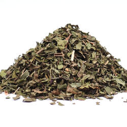 MIĘTA PIEPRZOWA (Mentha piperita)